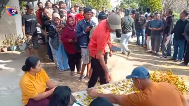 Ratusan Pejuang Garis Dua Mengantre Demi Mendapat Kurma Muda (Foto: Tiktok:Bocah_mbelieng)